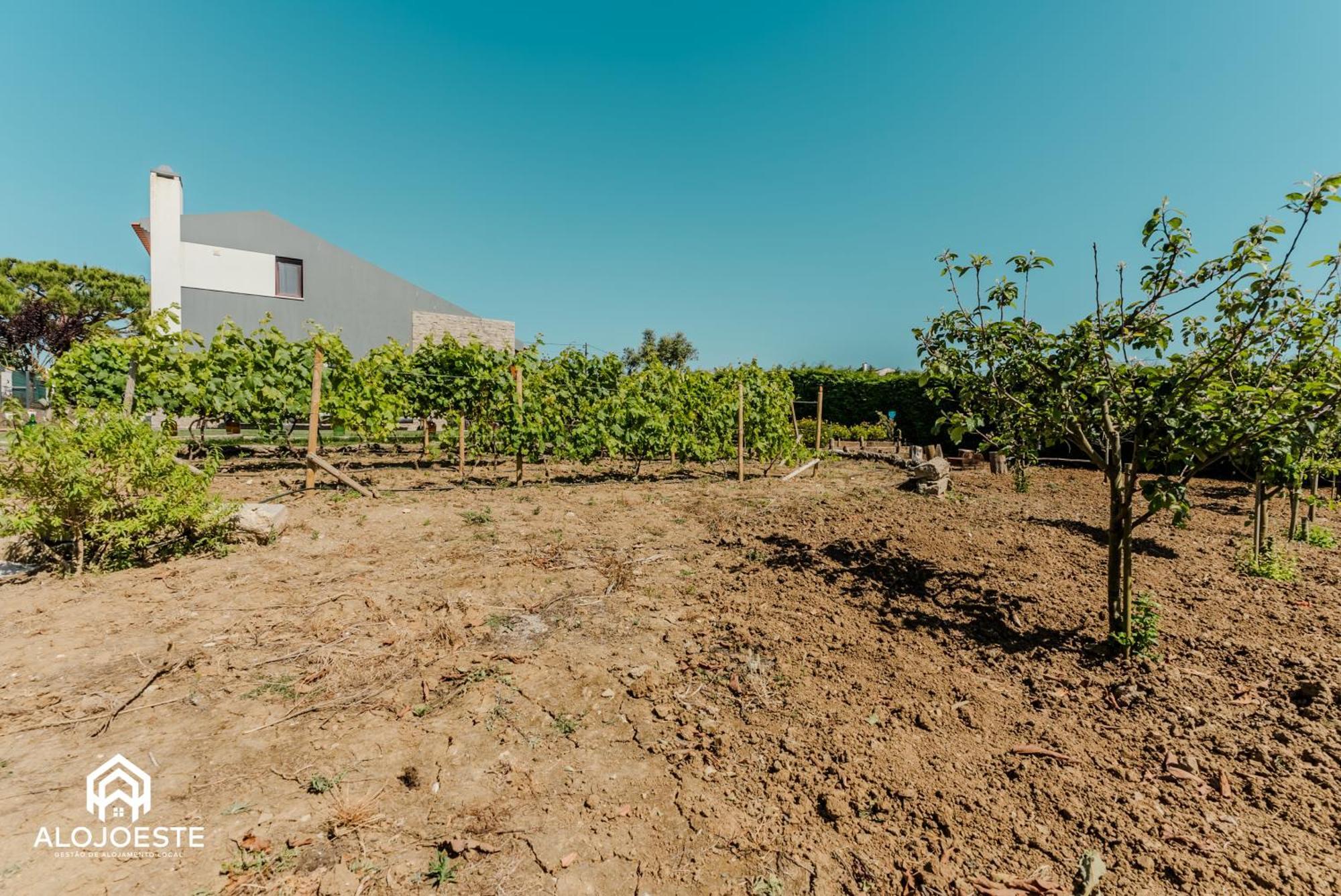 Vila Páteo Sagaipo Lourinhã Exteriér fotografie